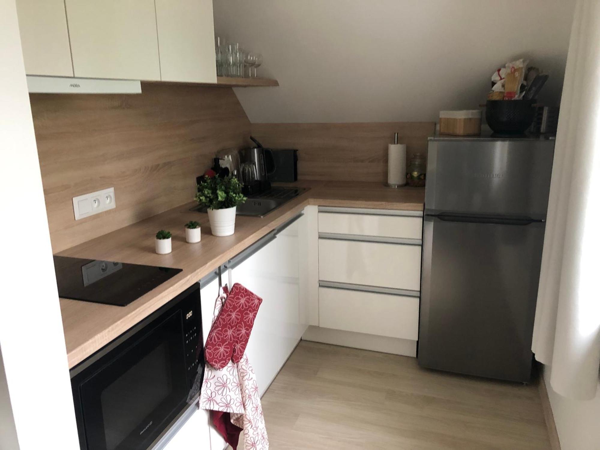 Apartman Krusne Hory - Erzgebirge Horní Blatná Dış mekan fotoğraf