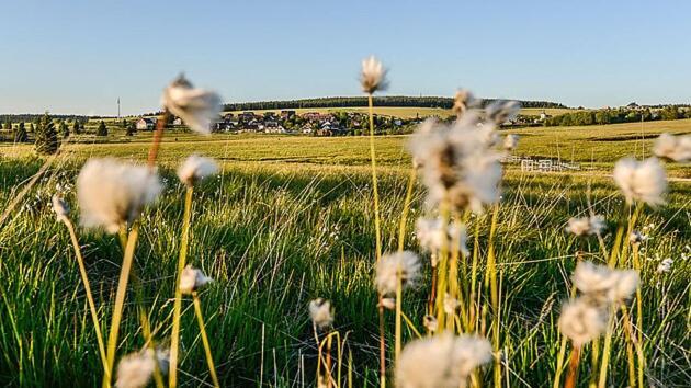 Apartman Krusne Hory - Erzgebirge Horní Blatná Dış mekan fotoğraf